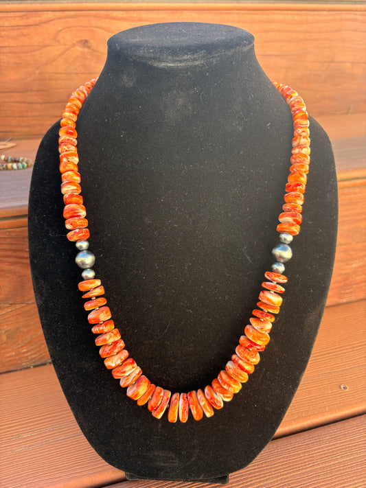 ORANGE SPINY STATEMENT